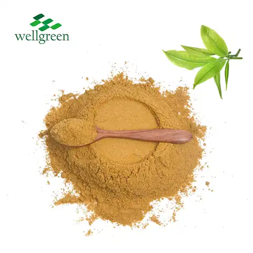 Green Tea Extract Powder